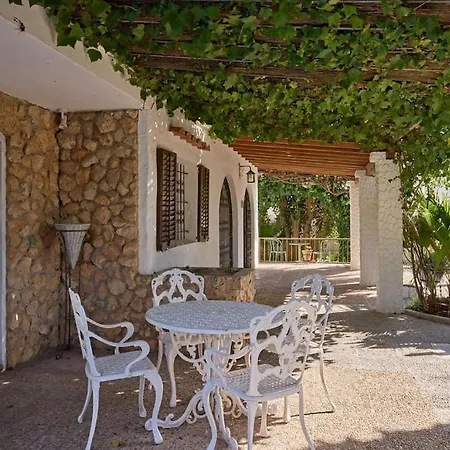 Palmera Solara