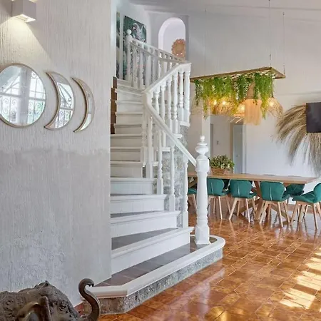 Palmera Solara Villa San José