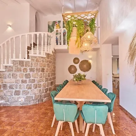 Palmera Solara Villa San José